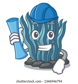 Architect blue seaweed isolated in the character