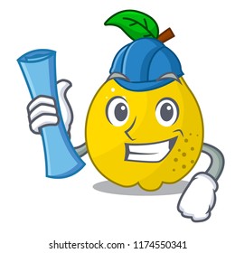 Architect bunch cartoon of juicy yellow quinces fruits