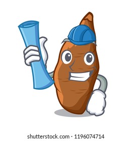 Architect cassava root on the plate cartoon