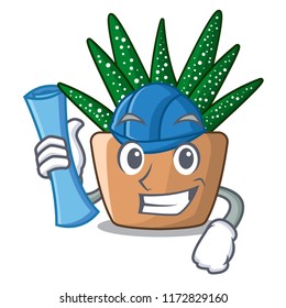Architect character small zebra cactus plant on pot