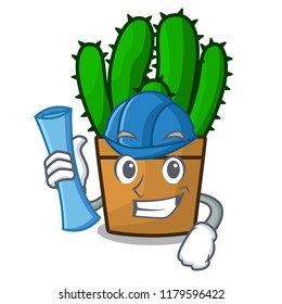 Architect character spurge cactus home decor indoor