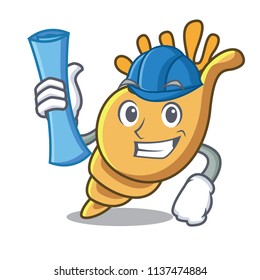 Architect exotic shell character cartoon