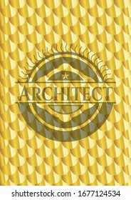 Insignia de oro de arquitecto. Patrón de escalas. Ilustración vectorial. Detallado.