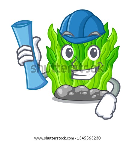 Architect green seaweed isolated with the character