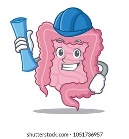 Architect intestine character cartoon style