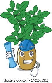 Architect lemon balm in a mascot pot