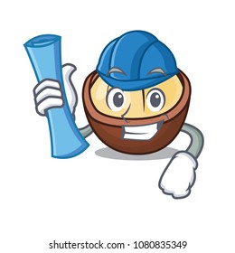 Architect macadamia character cartoon style