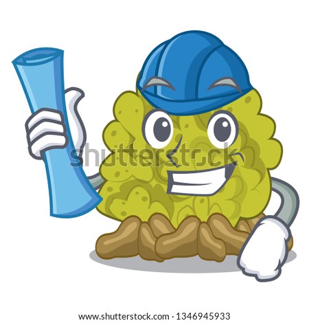 Architect miniature green coral reef with mascot