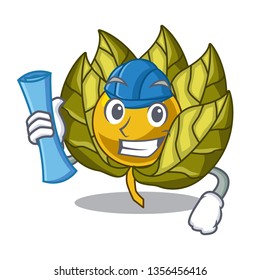 Architect physalis fruit in the mascot fridge