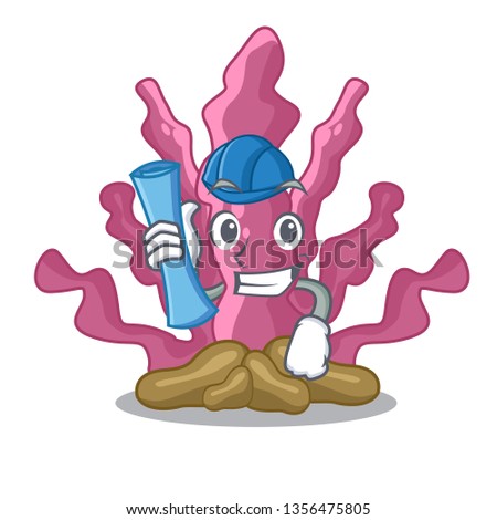 Architect pink seaweed cartoons under the sea