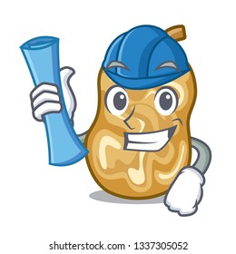 Architect raisins isolated with in the mascot
