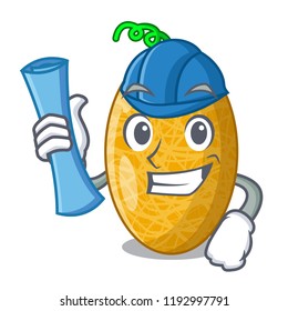 Architect ripe honeydew melon cartoon
