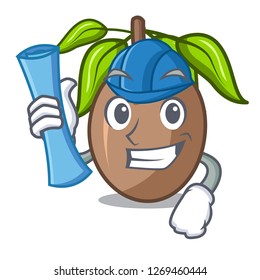 Architect sapodilla fruit isolated on the mascot