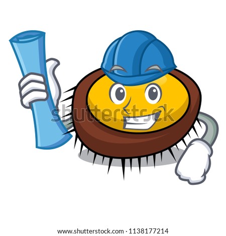Architect sea urchin character cartoon