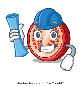 Architect slice of ripe pomegranate character cartoon
