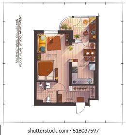 Architectural Color Floor Plan. Studio Apartment. Handdrawn Rendering Style