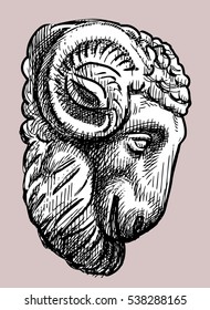 the architectural detail in form of a ram head