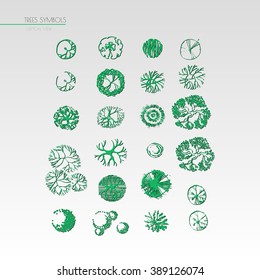 Architectural drawing. Trees line symbols in top view. Landscape design graphic elements collection.