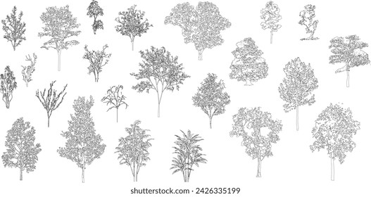 Architectural Drawings, Minimal style cad tree line drawing, Side view, set of graphics trees elements outline symbol for landscape design drawing. Vector illustration in stroke fill in white.