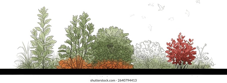 Architectural Drawings, Minimal style cad tree line drawing, Side view, set of section garden, wetland forest outline for landscape design drawing. Vector illustration in separate element 