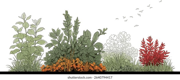 Architectural Drawings, Minimal style cad tree line drawing, Side view, set of section garden, wetland forest outline for landscape design drawing. Vector illustration in separate element 