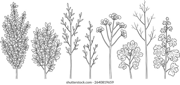 Architectural Drawings, Minimal style cad tree line drawing, Side view, set of graphics trees elements outline symbol for landscape design drawing. Vector illustration in stroke fill in white.