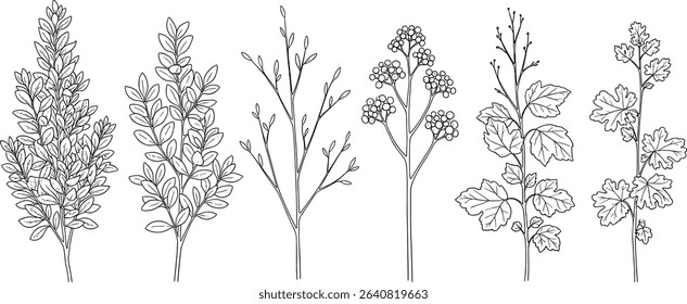 Architectural Drawings, Minimal style cad tree line drawing, Side view, set of graphics trees elements outline symbol for landscape design drawing. Vector illustration in stroke fill in white.