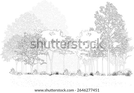 Architectural Drawings, Minimal style cad tree line drawing, Side view, set of section wetland forest outline for landscape design drawing. Vector illustration in seperate element