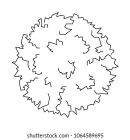 Architectural illustration of the tree for landscape design layout