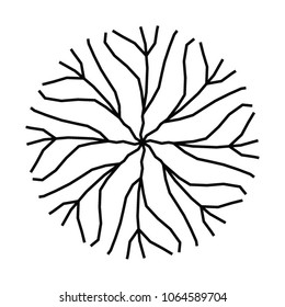 Architectural illustration of the tree for landscape design layout