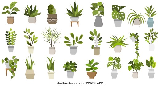 Architectural interior planter natural landscape handwriting elevation
vector illustration