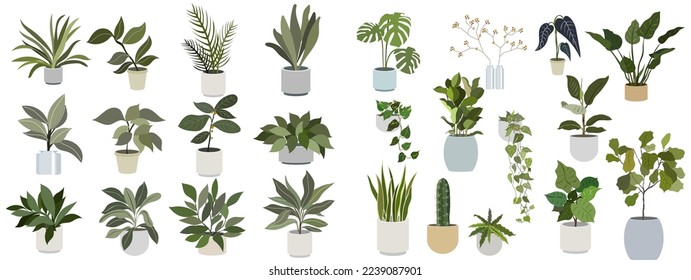 Architectural interior planter natural landscape handwriting elevation
vector illustration