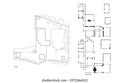 Architectural plan House two-floor Empty, Site plan decorated 
with bushes. 