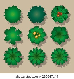 Architectural plants for plans