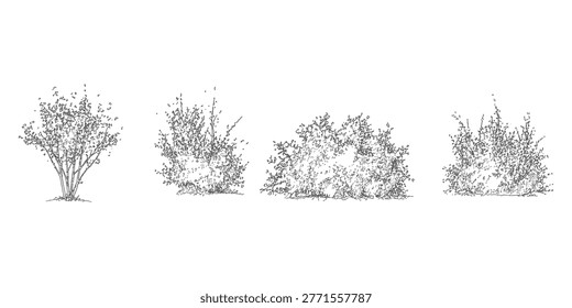Architectural shrubs bushes vector set elevation views for landscape design drawings