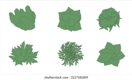 Architecture sketch green trees top view vector, Drawing trees for landscape design. Green Vector illustration. Set of tree sketches isolated on white for architect