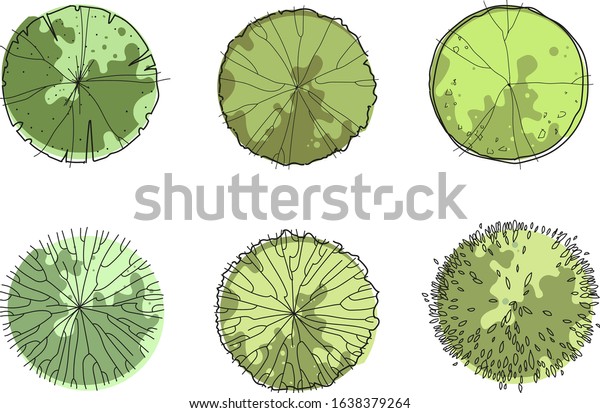 Architecture Sketch Green Trees Top View Stock Vector (Royalty Free