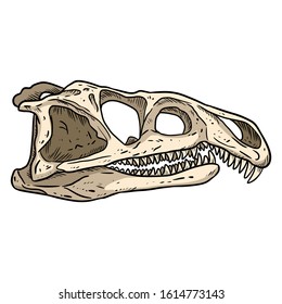 Archosaurus rossicus fossilized skull hand drawn sketch image. Carnivorous archosauriform reptile dinosaur fossil illustration
