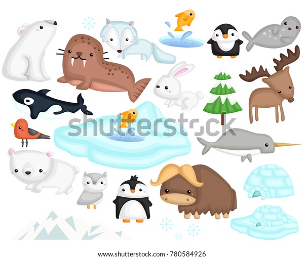 Arctic Animal Illustration Vector Set Stock Vector (Royalty Free ...