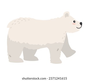 arctic animal polar bear illustration isolated