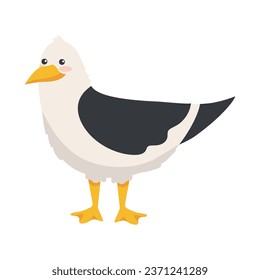 arctic animal seagull illustration isolated