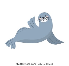 arctic animal seal illustration isolated