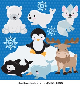 Arctic animal vector illustration