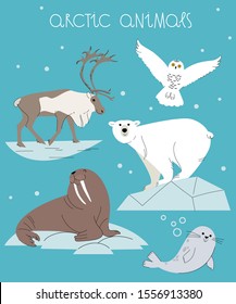 Arctic Animal Vector Set. Cute Cartoon Illustration of polar bear, walrus, reindeer, seal and snowy owl.