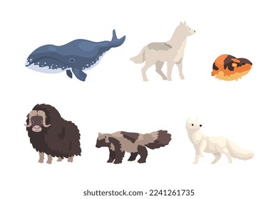 Arctic Animal with Wolf, Ox, White Fox, Lemming and Whale Vector Set