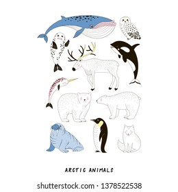 Arctic Animale vector set. Polar Bear Walrus Penguin Narwal Seal Reindeer Killer Whale Arctic Fox Owl doodle linear drawing. Noth Polar creature collection in Scandinavian style.