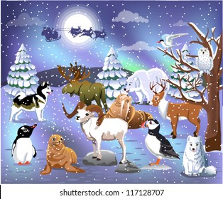 arctic animals