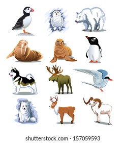 arctic animals