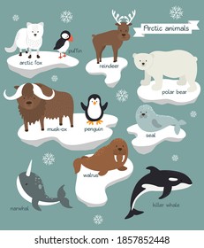 Arctic animals background set. Animals that live in Antarctica stand on ice floes with names. Flat design of arctic animals with snow. Vector illustration