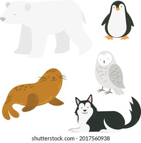 Arctic Animals Bear Raccoon Polar Bear Penguin Seal Snow Owl Husky Illustration Set